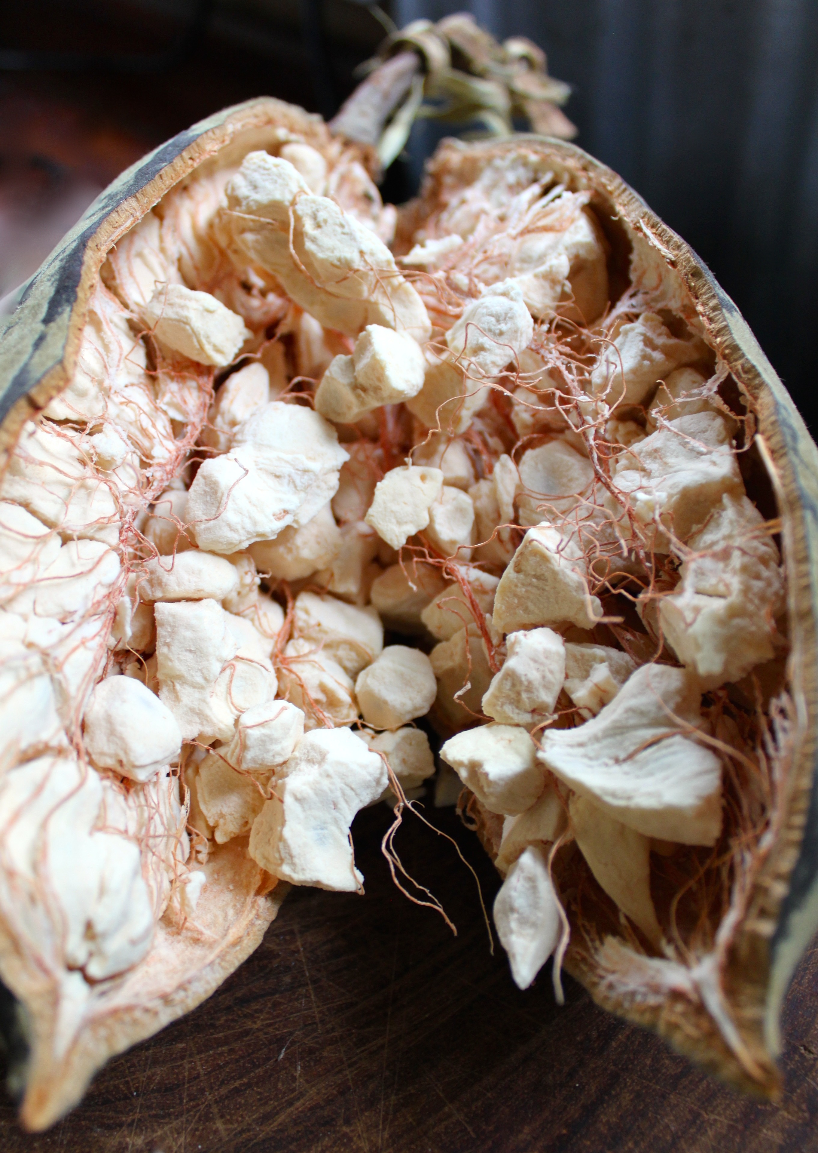 The guts of the baobab fruit.