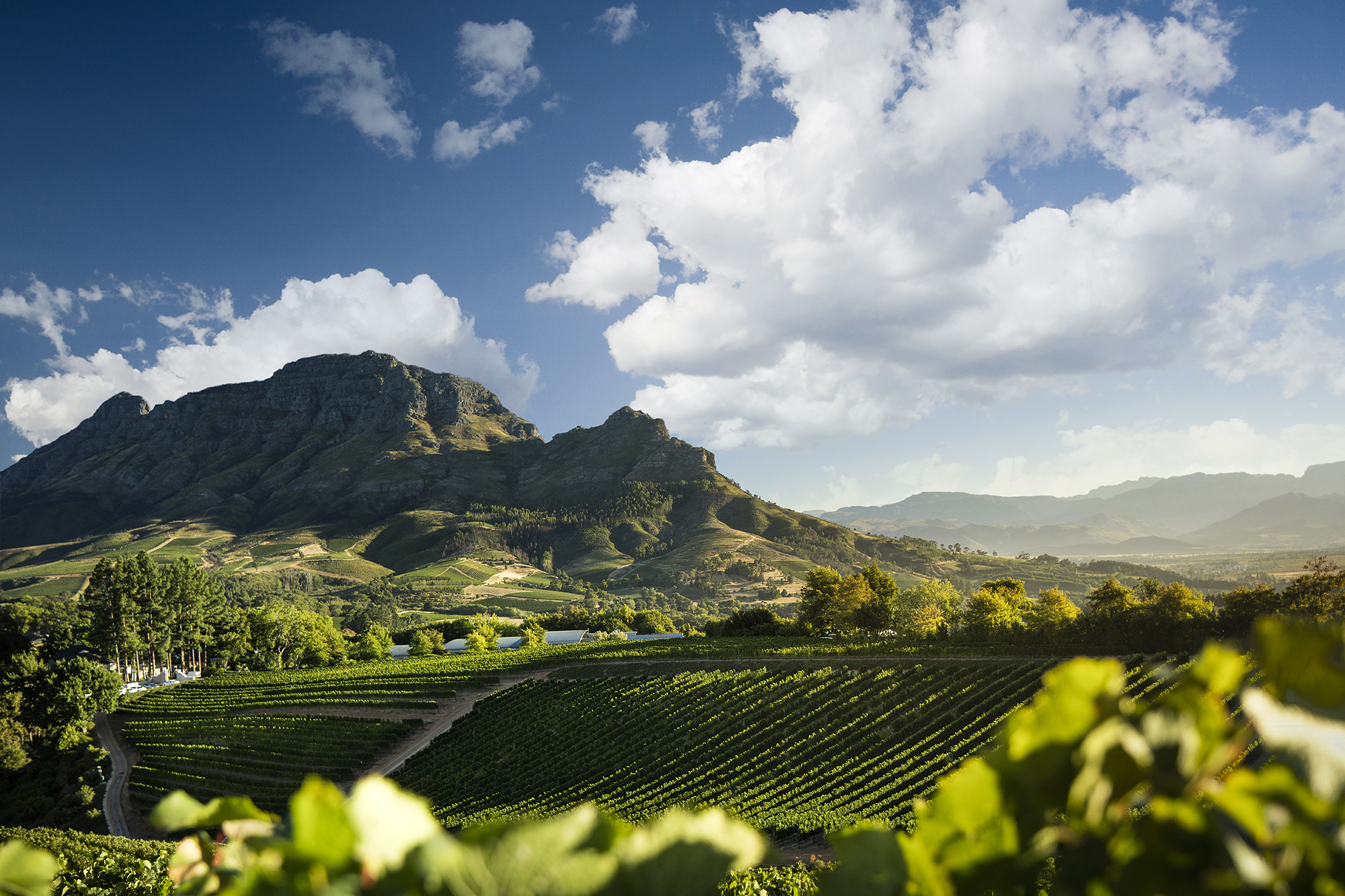 Views-of-the-Jewel-of-the-Cape-Winelands